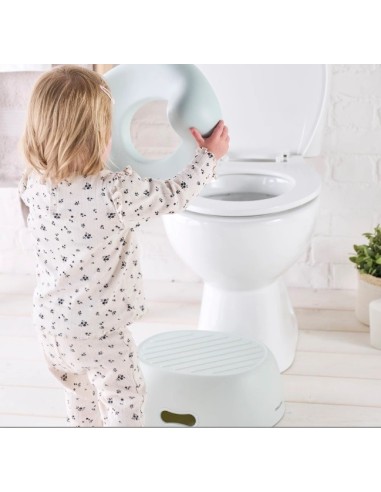 Nattou- Vasino Potty 3in1