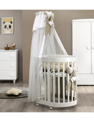 Cuoricini - Culla Evolutiva Leonardo