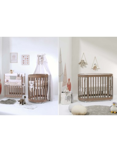 Cuoricini - Culla Evolutiva Leonardo