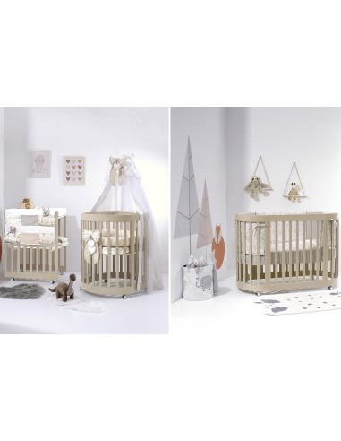 Cuoricini - Culla Evolutiva Leonardo