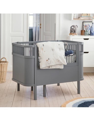 Lettino Evolutivo Sebra