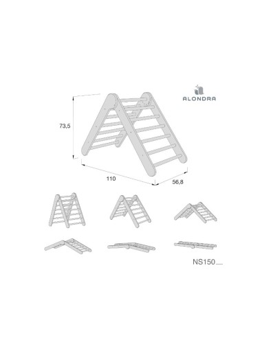 Alondra- Triangolo di apprendimento Triplano