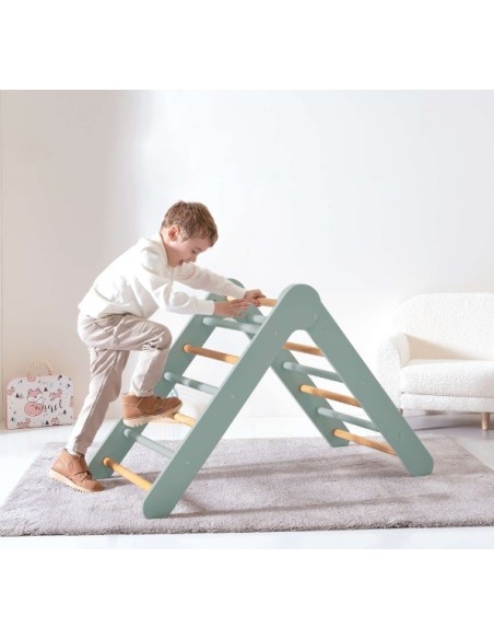 Alondra- Triangolo di apprendimento Triplano