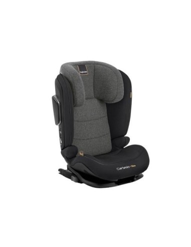 https://www.croccoprimainfanziashop.com/16571/inglesina-seggiolino-auto-cartesio-100-150cm.jpg