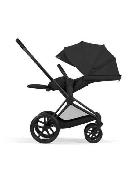 Cybex Priam 2 in 1